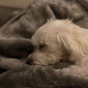 Meet your Posher, Margaret